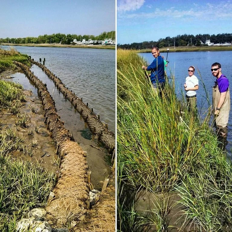 Image credit: Partnership For Delaware Estuaries/Flickr
