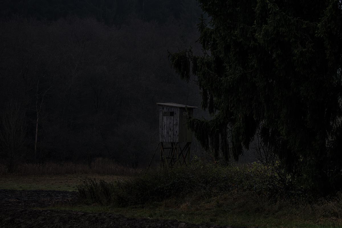 Hochstand_IMG_0133.jpg