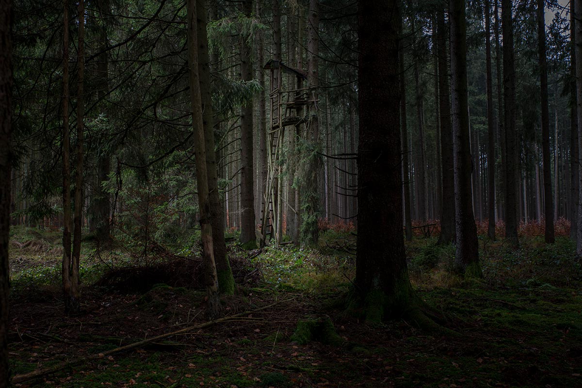 Hochstand_IMG_0200.jpg
