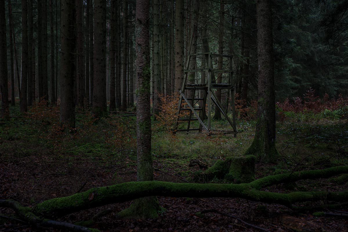 Hochstand_IMG_0269.jpg