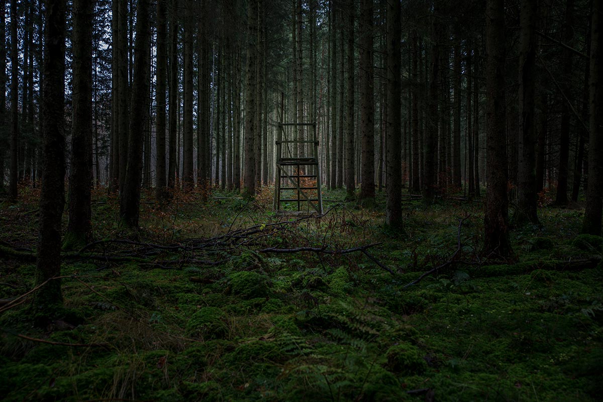 Hochstand_IMG_0276.jpg