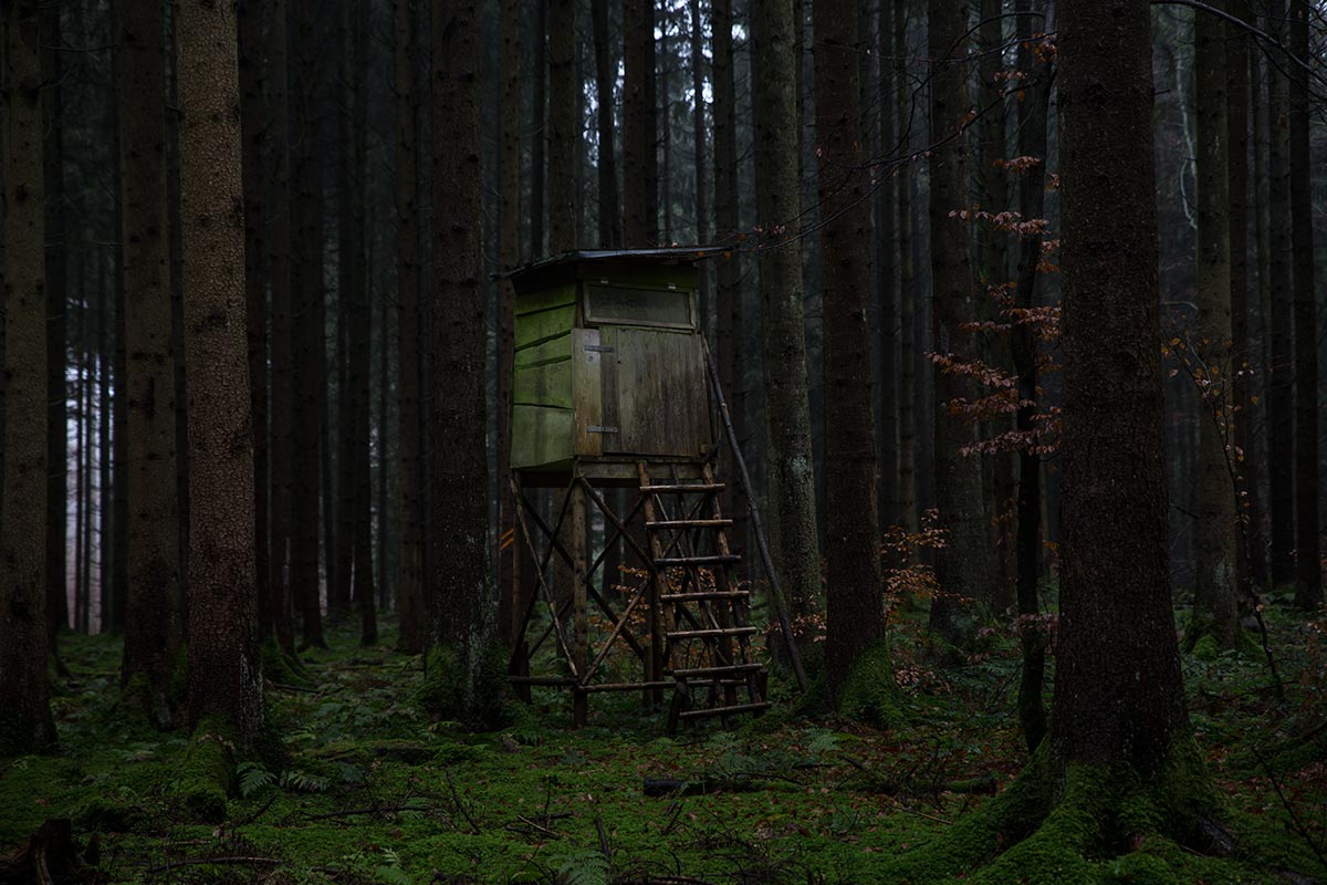 Hochstand_IMG_0396.jpg