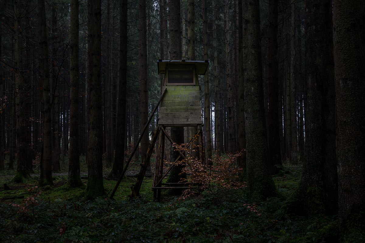 Hochstand_IMG_0400.jpg
