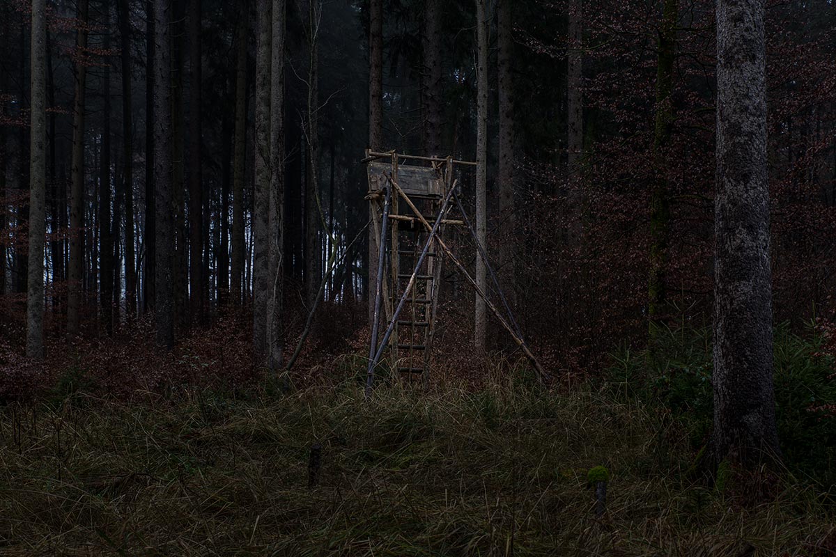 Hochstand_IMG_0411.jpg