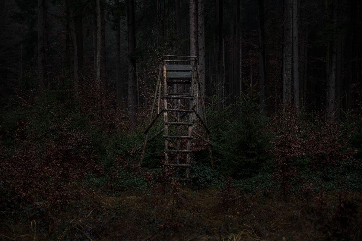 Hochstand_IMG_0415.jpg