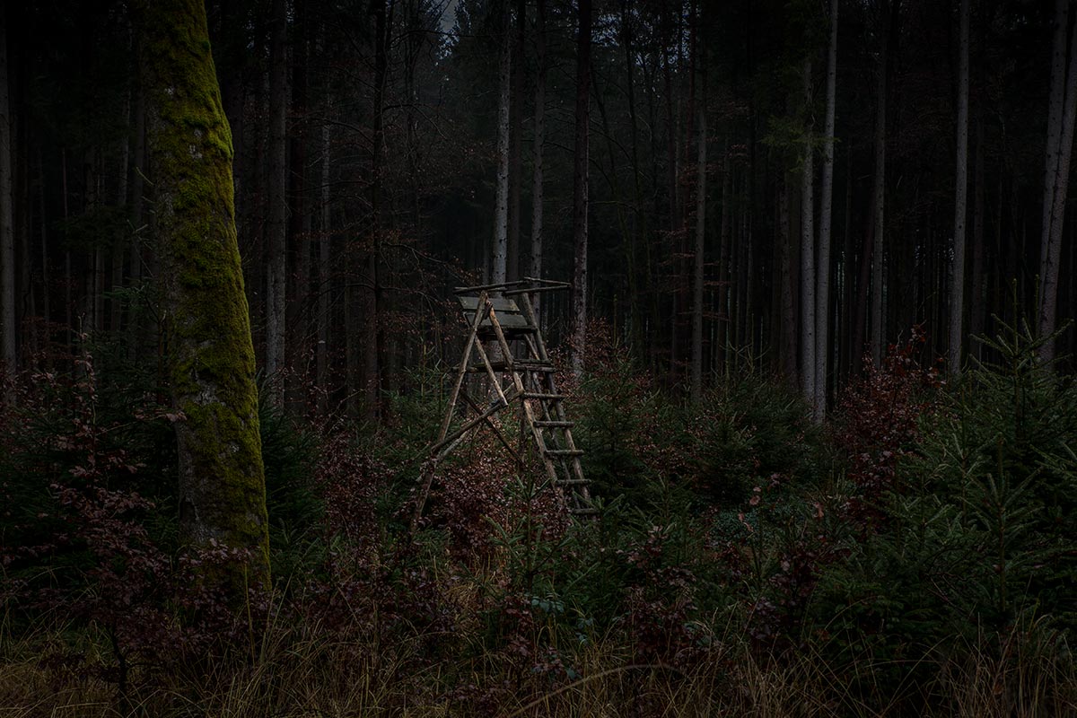 Hochstand_IMG_0420.jpg