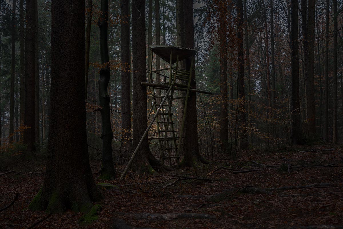 Hochstand_IMG_0443.jpg