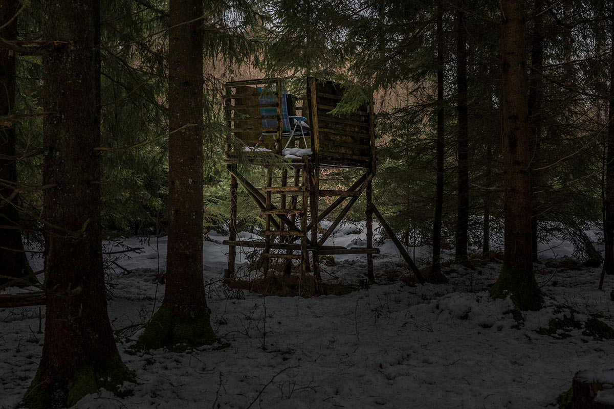 Hochstand_IMG_1155.jpg
