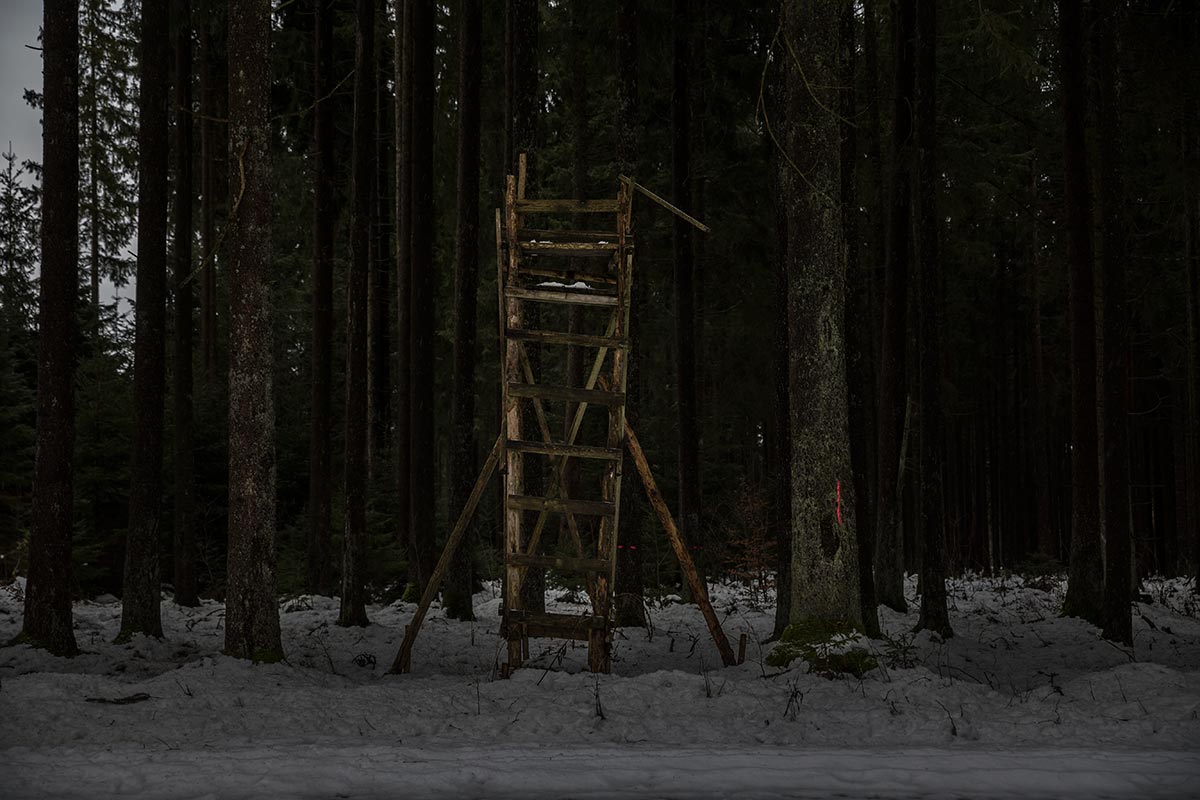 Hochstand_IMG_1171.jpg