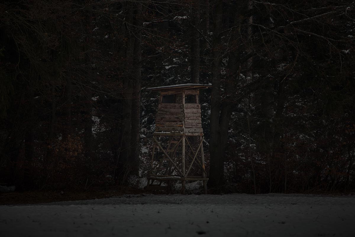 Hochstand_IMG_2343.jpg