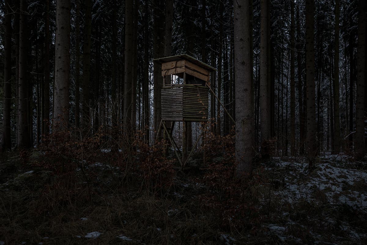 Hochstand_IMG_2360.jpg