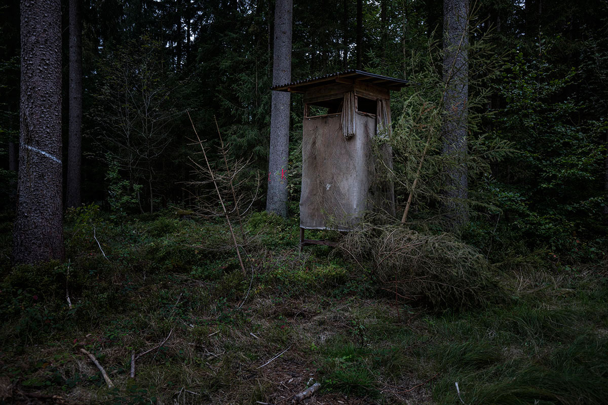 Hochstand_IMG_3544.jpg