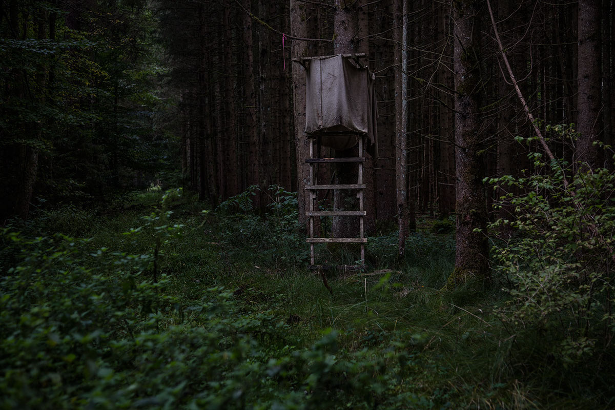 Hochstand_IMG_3574.jpg