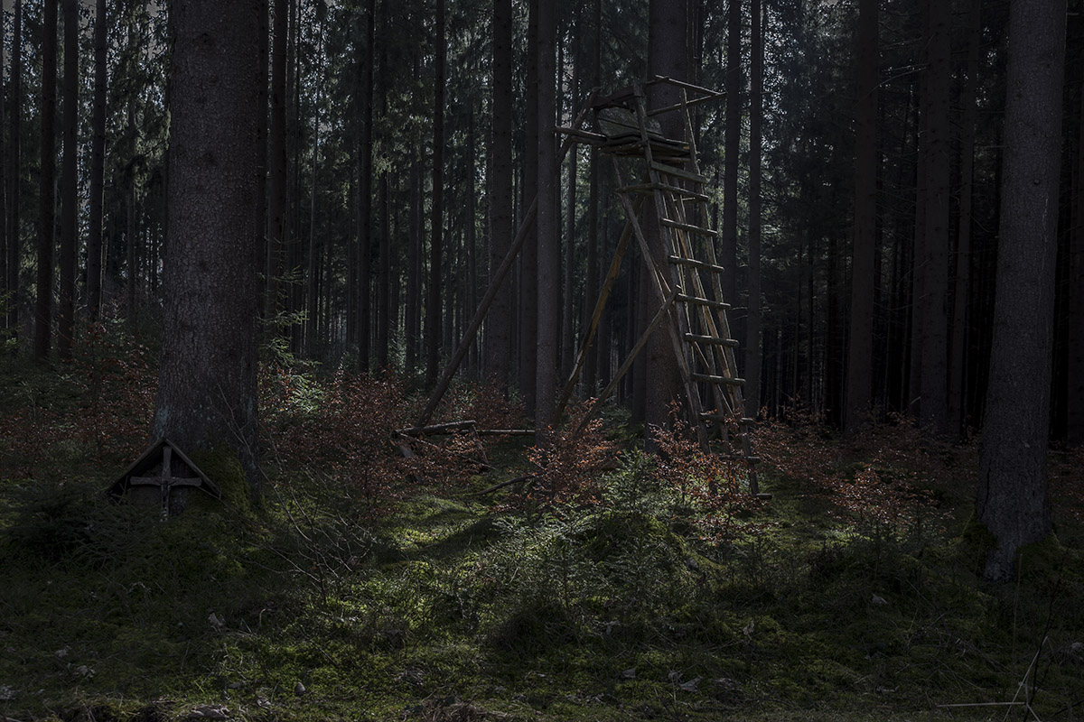 Hochstand_IMG_8053.jpg