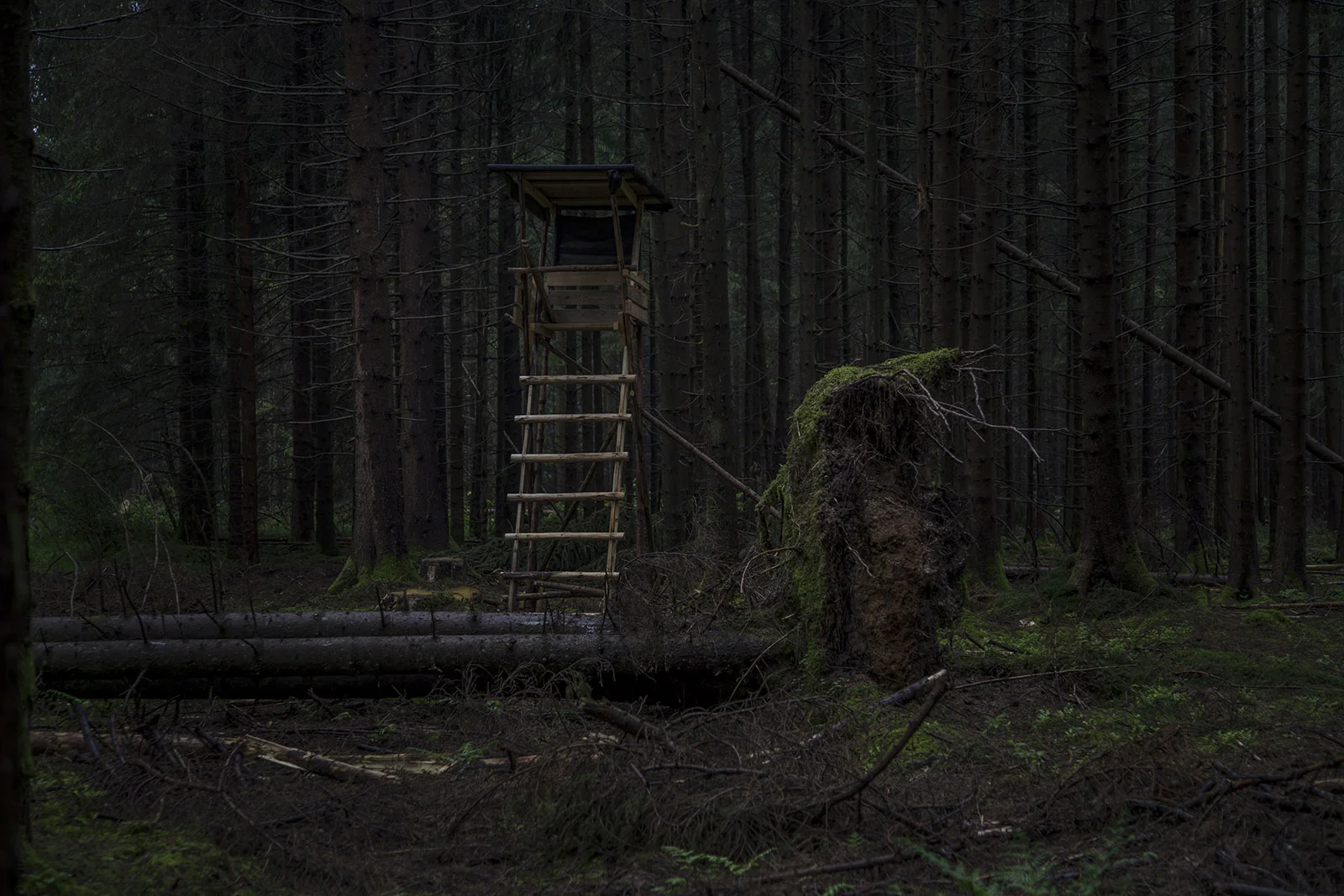 Hochstand_IMG_9795_1600.jpg