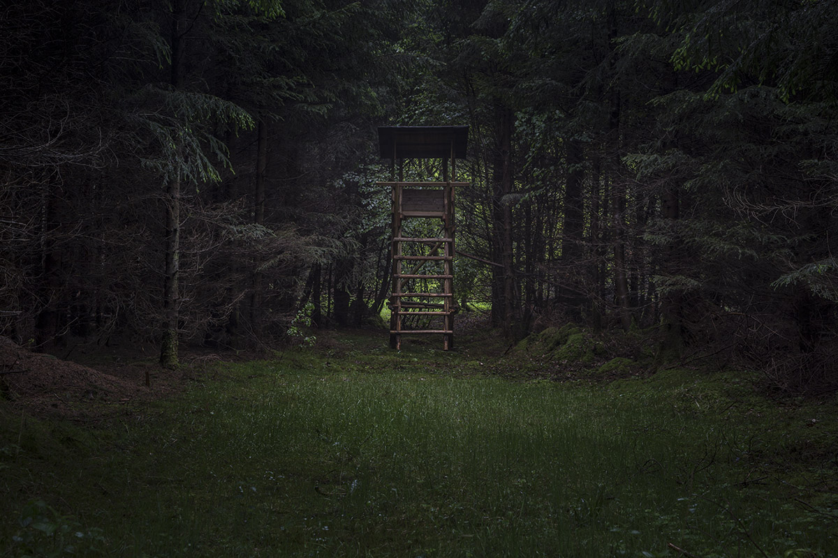 Hochstand_IMG_9824.jpg