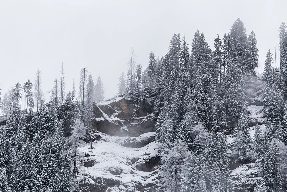 Mountain_IMG_7008.jpg