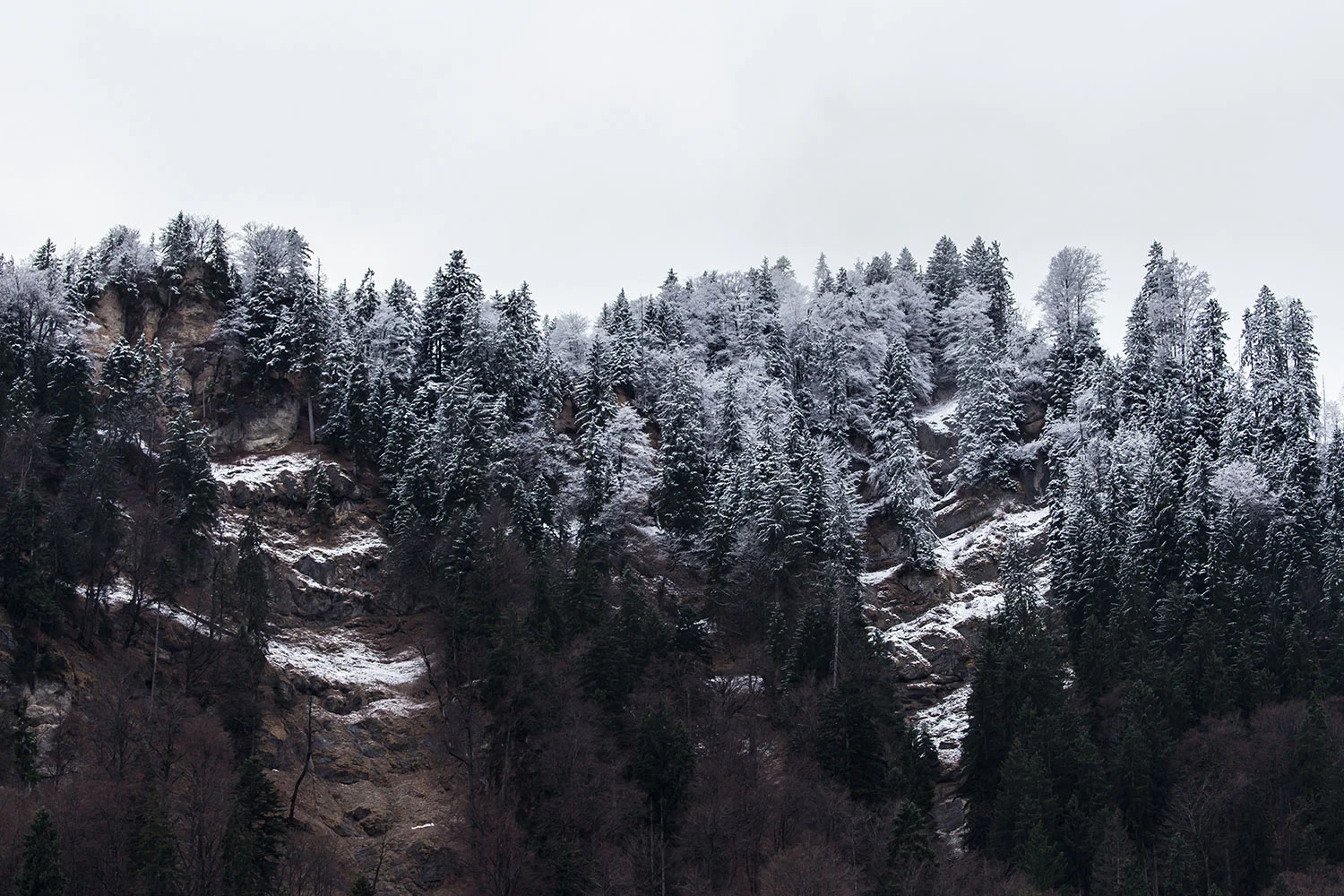 Mountain_IMG_6999.jpg