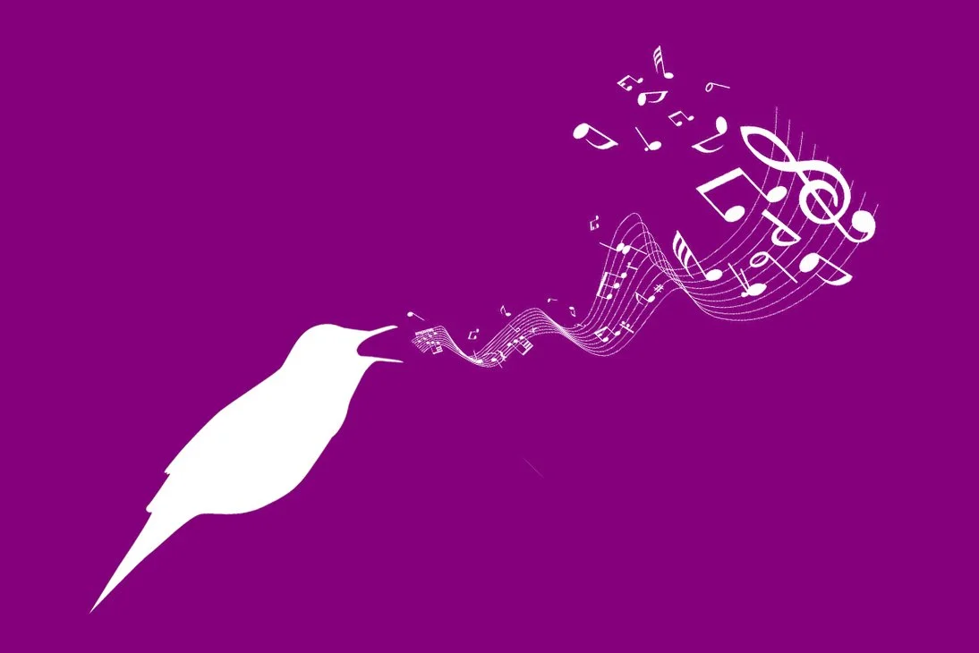 bird_song_by_mersonjl-d633hku.png.jpeg
