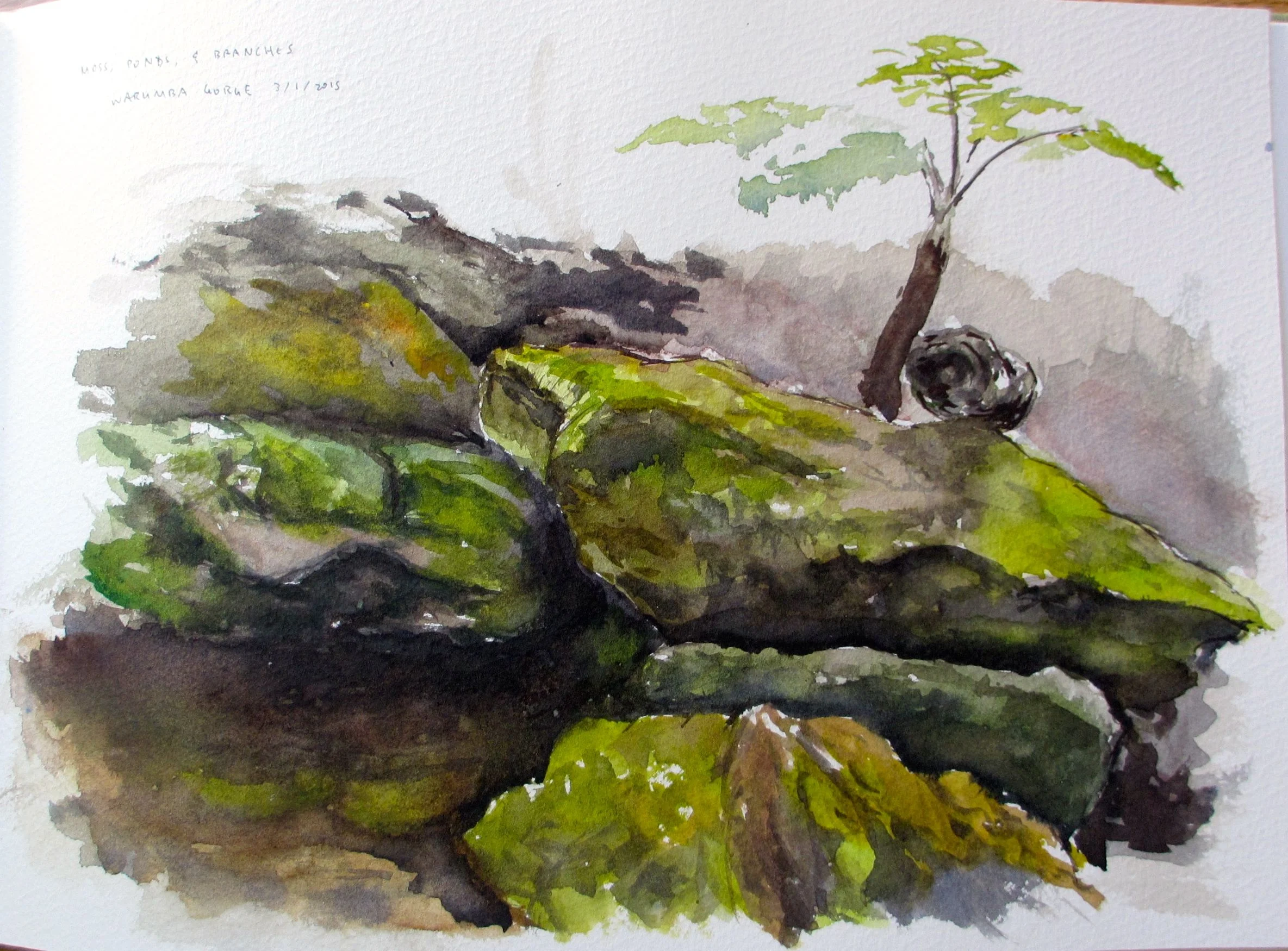 watercolor8.jpg