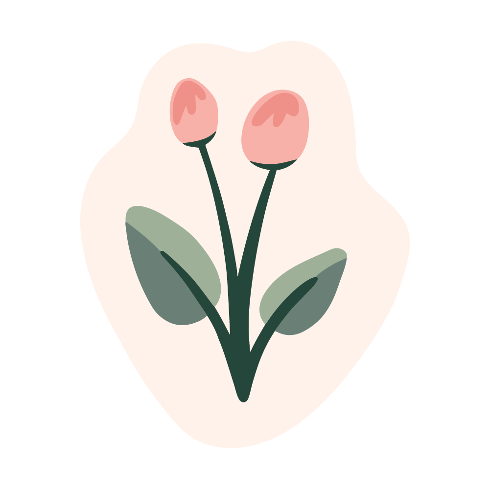 toy3@2x.png