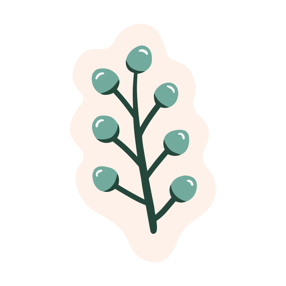 toy5@2x.png