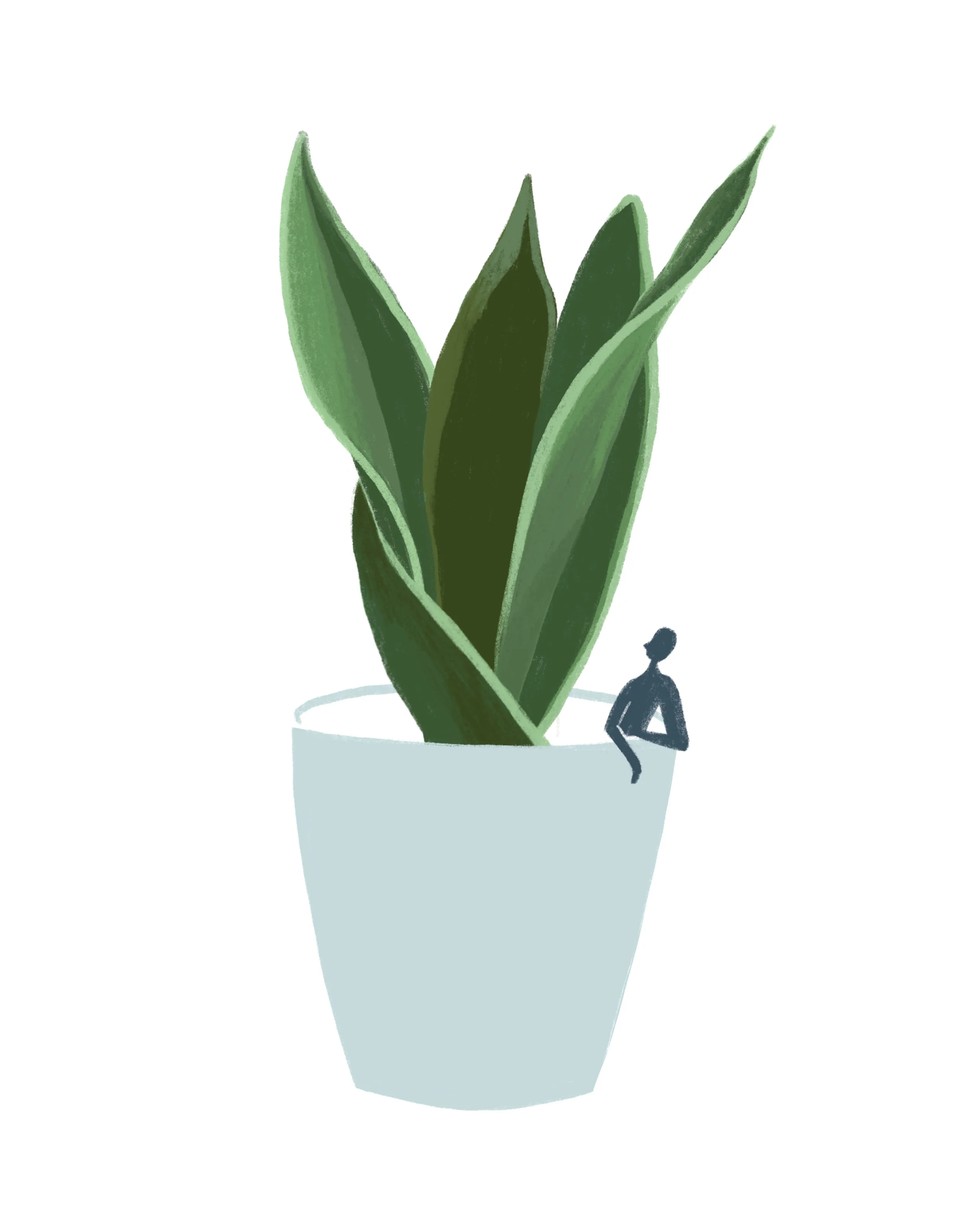 Strength — Snake Plant.