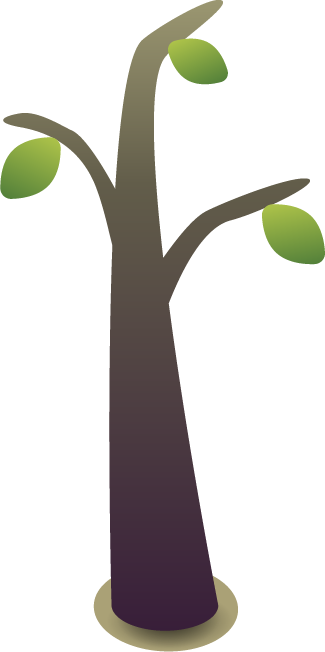 Tree, grown from the seedling.