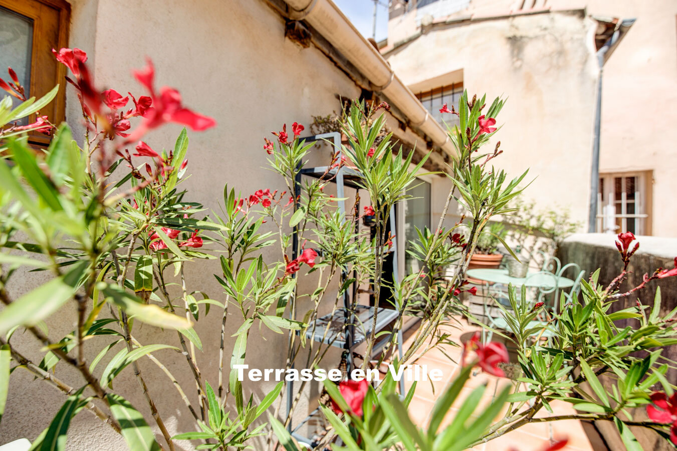 TERRASSE EN VILLE.jpg