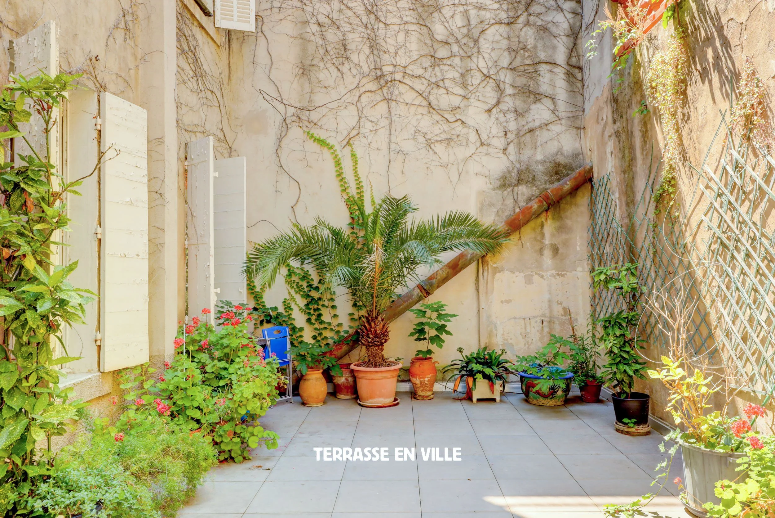 Terrasse en ville-1538.jpg