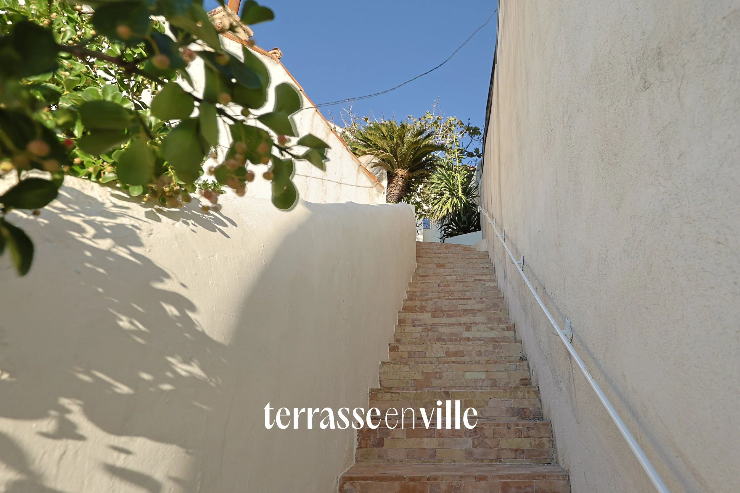 TERRASSE EN VILLE.jpg