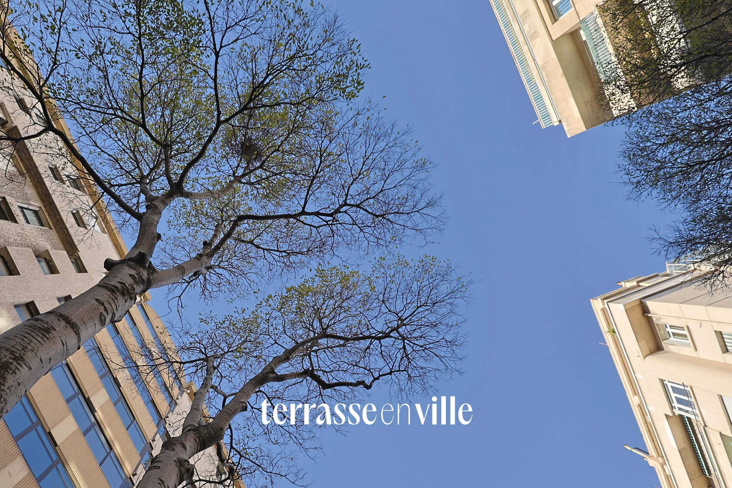 TERRASSE EN VILLE-12.jpg