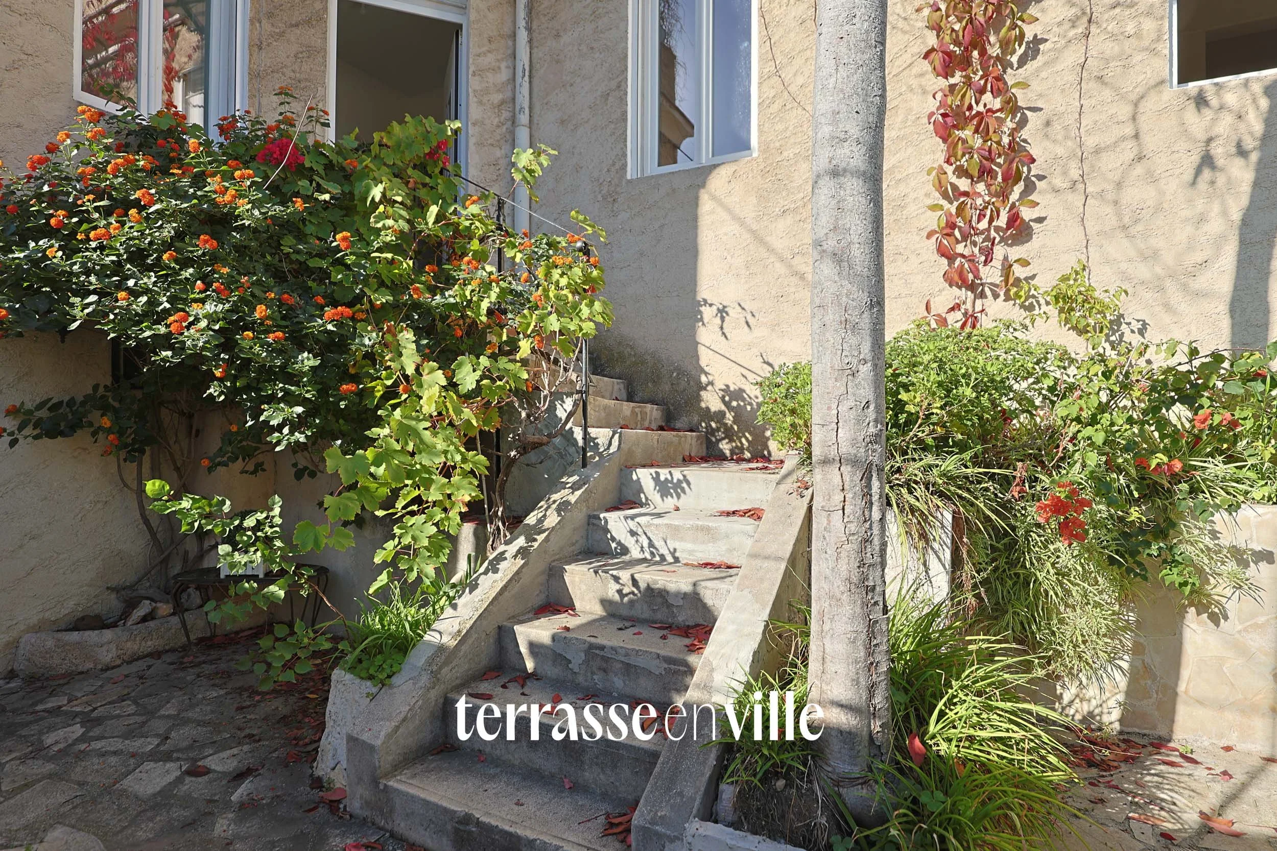 TERRASSE EN VILLE-4.jpg