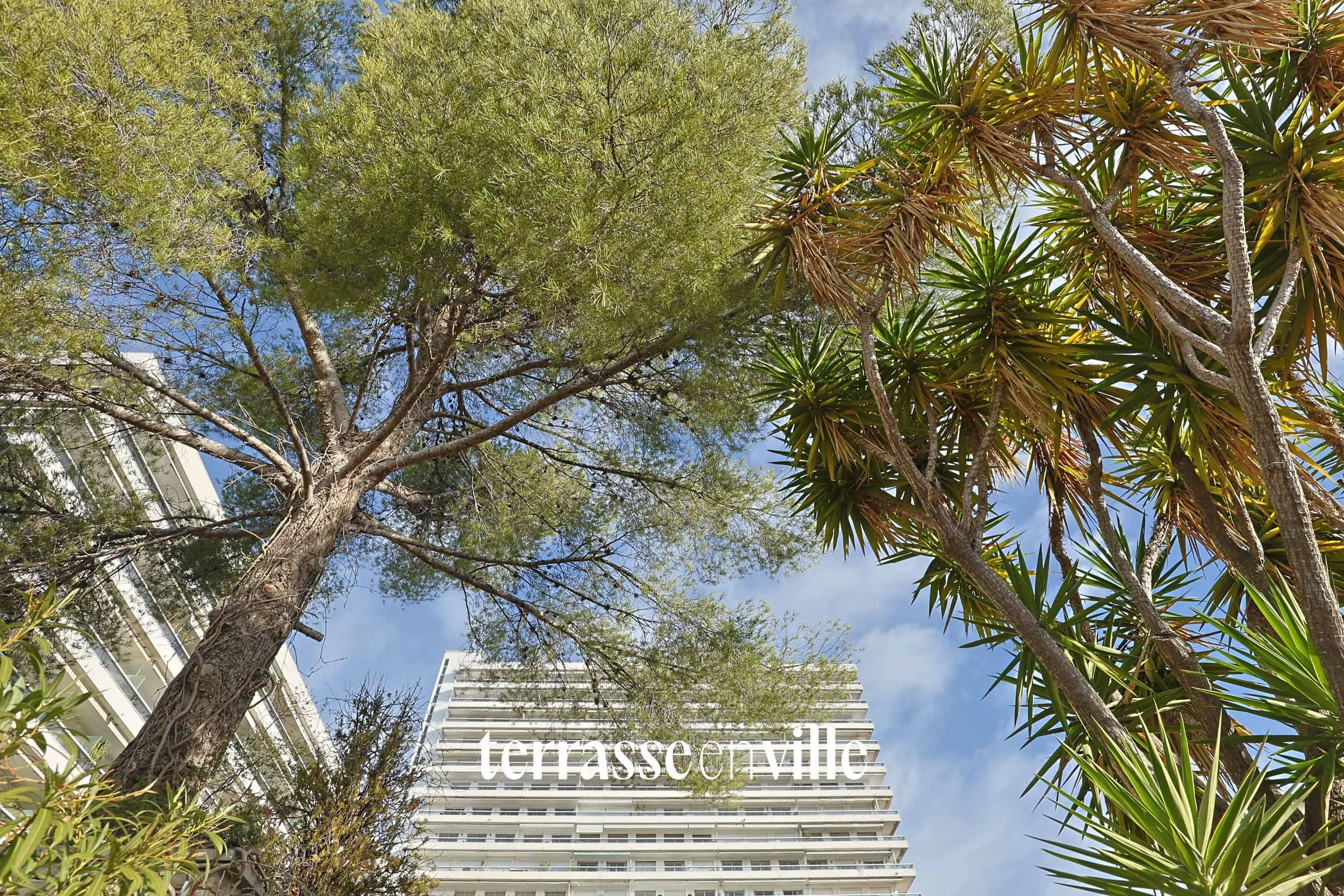 TERRASSE EN VILLE-4.jpg