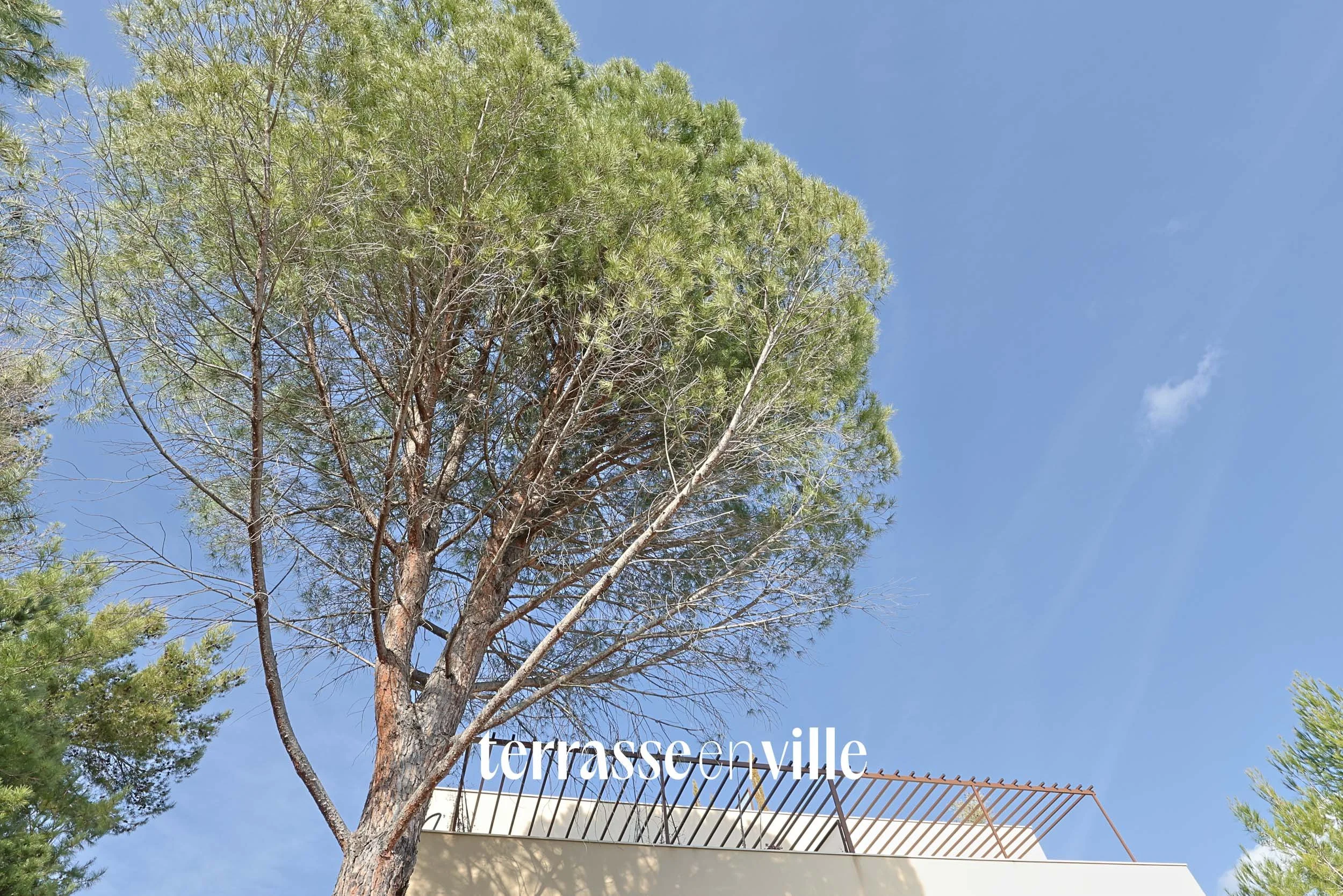 TERRASSE EN VILLE-23.jpg
