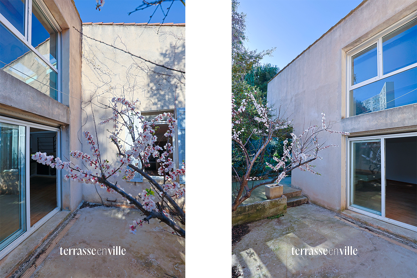 Sans titre-1XCCC.png