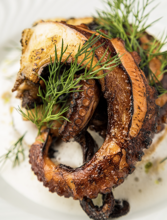 Capture d’écran 2026-03-19 à 11.34.50.png