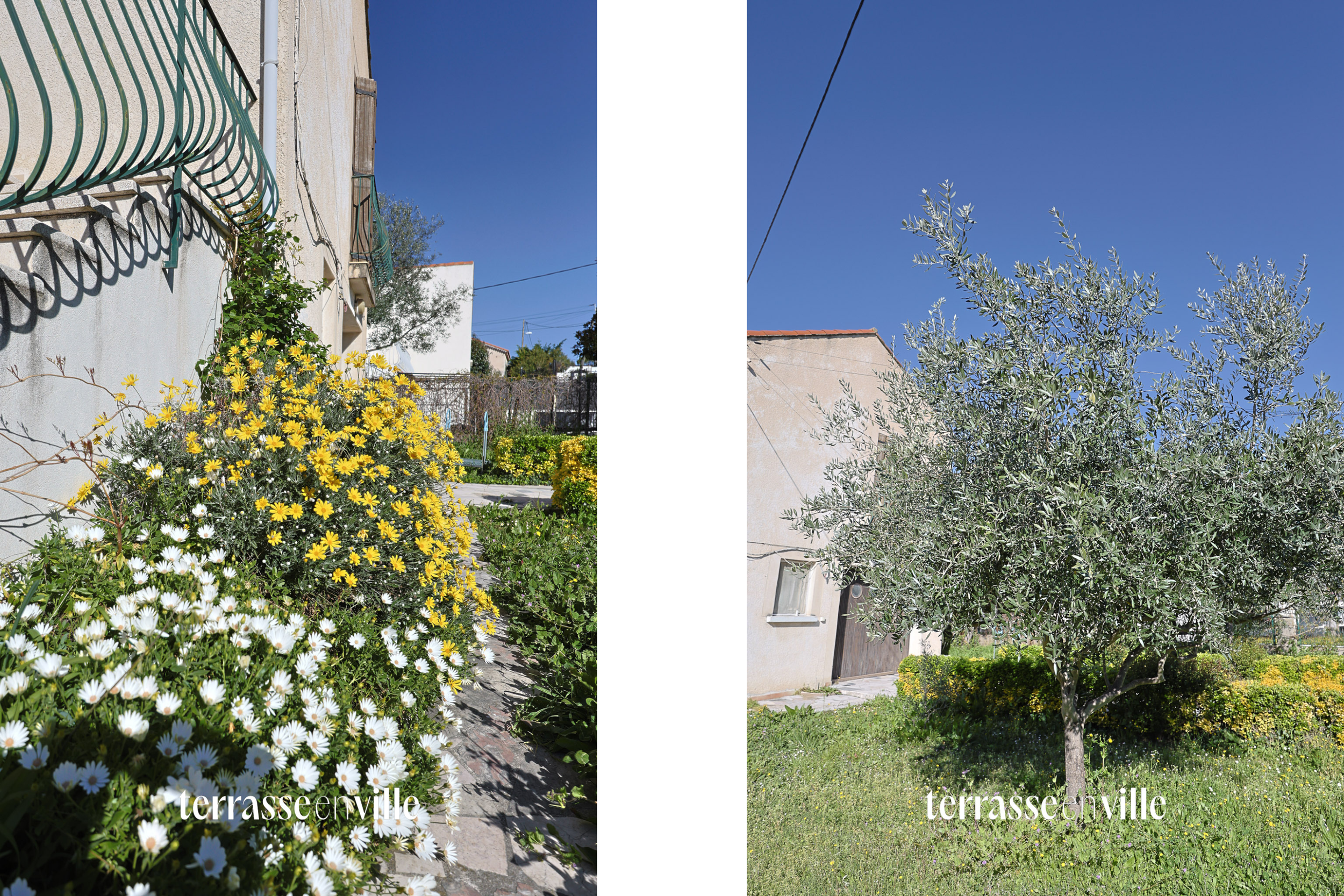 Design sans titre (1).png