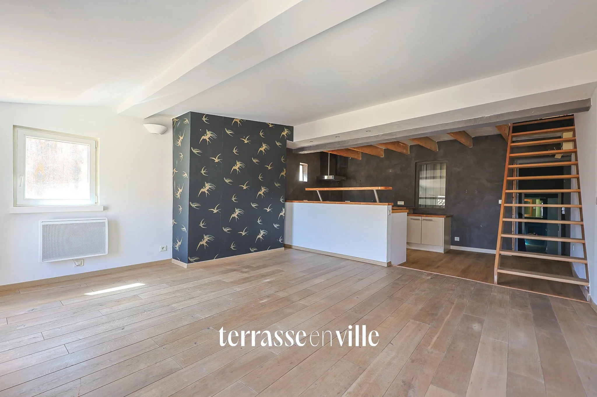 Sans titre-1029.jpg