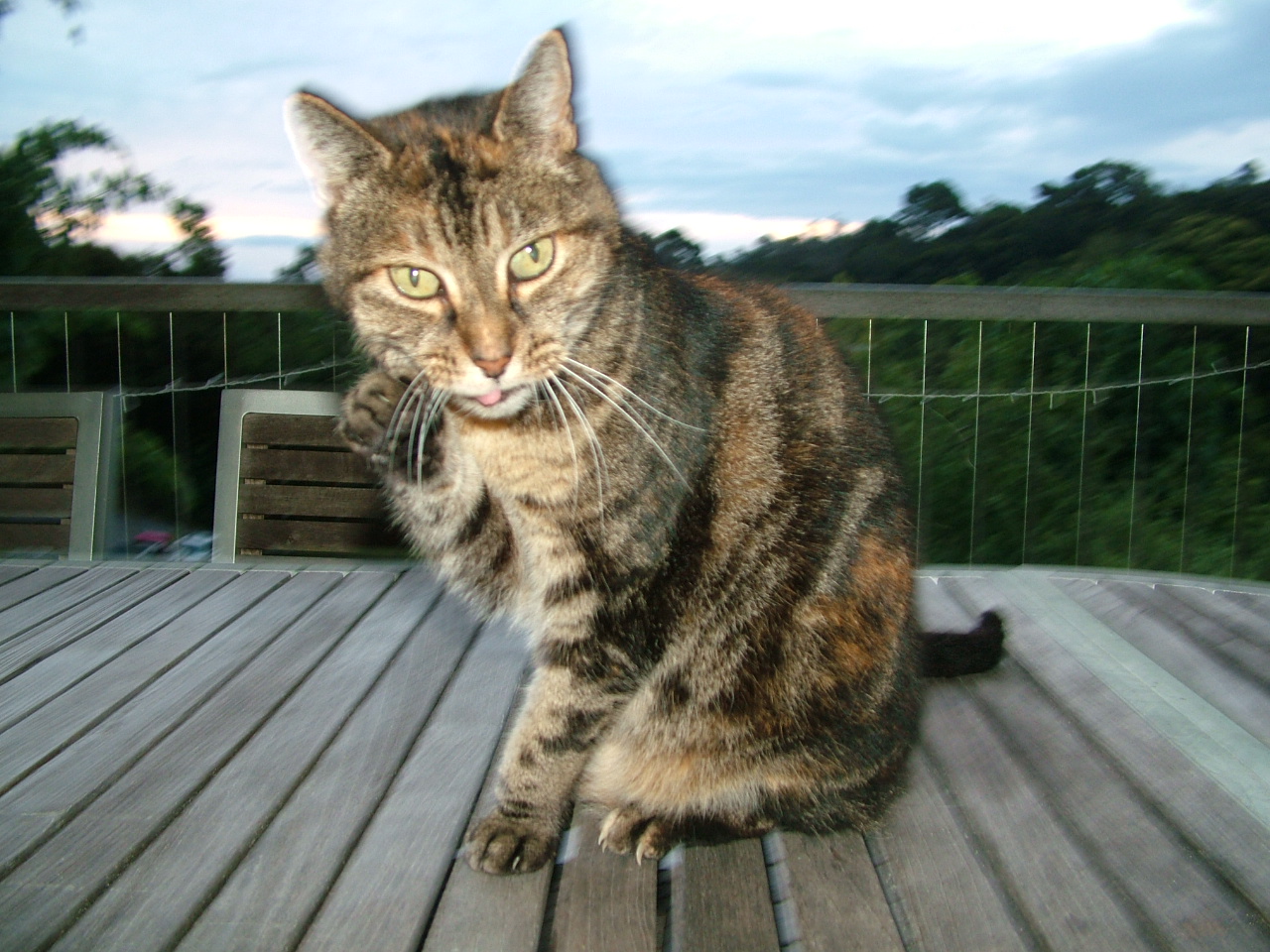 DSCF9586.jpg