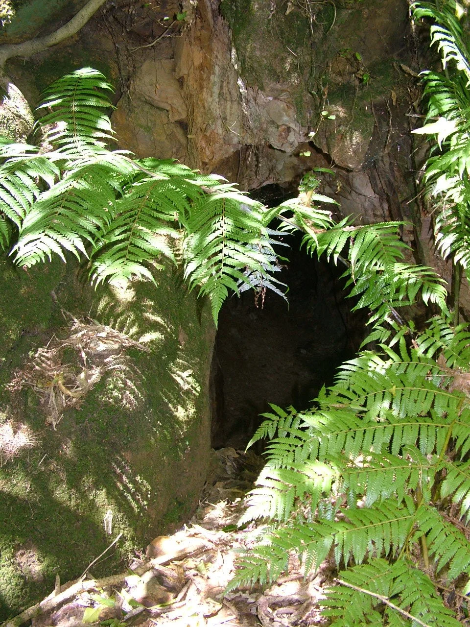 DSCF9641.jpg