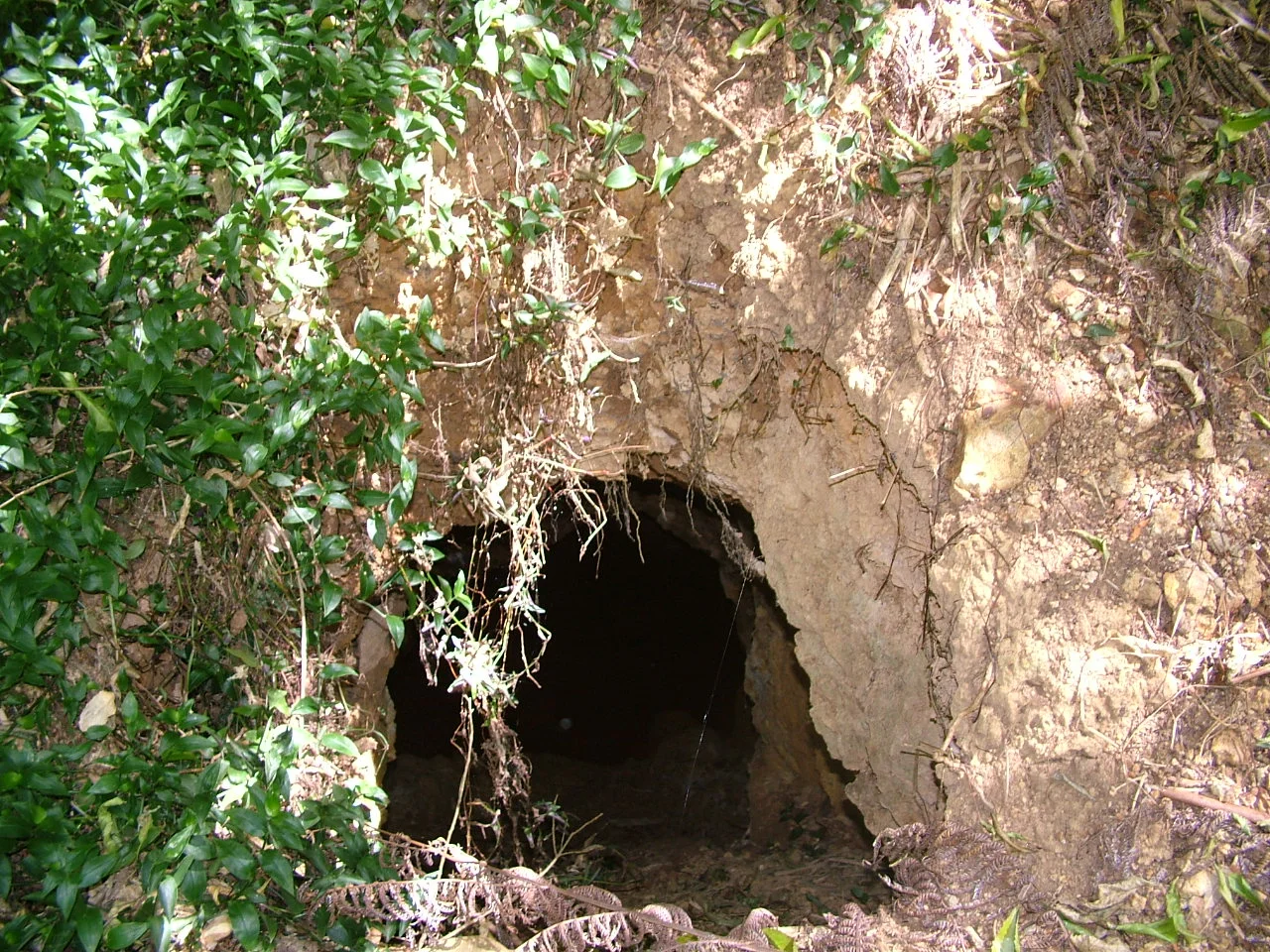 DSCF9644.jpg