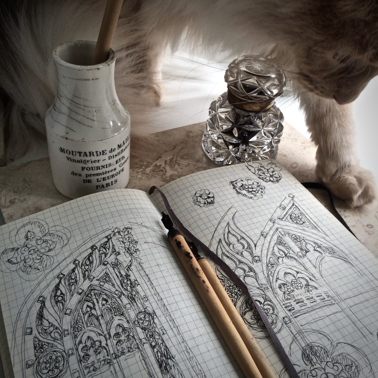sketches and haiku maine coon cat