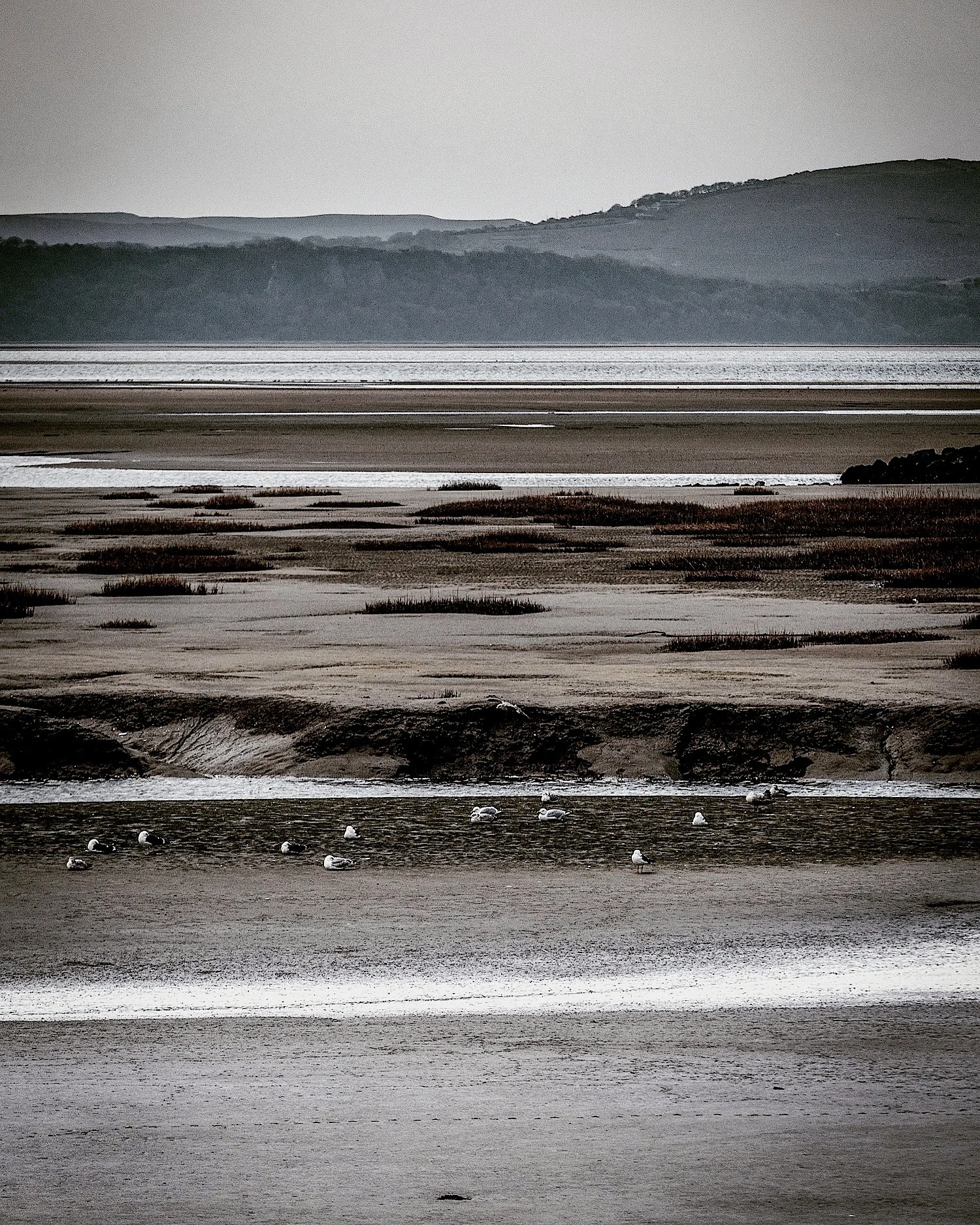 File 03-07-2017, 17 52 16.jpeg