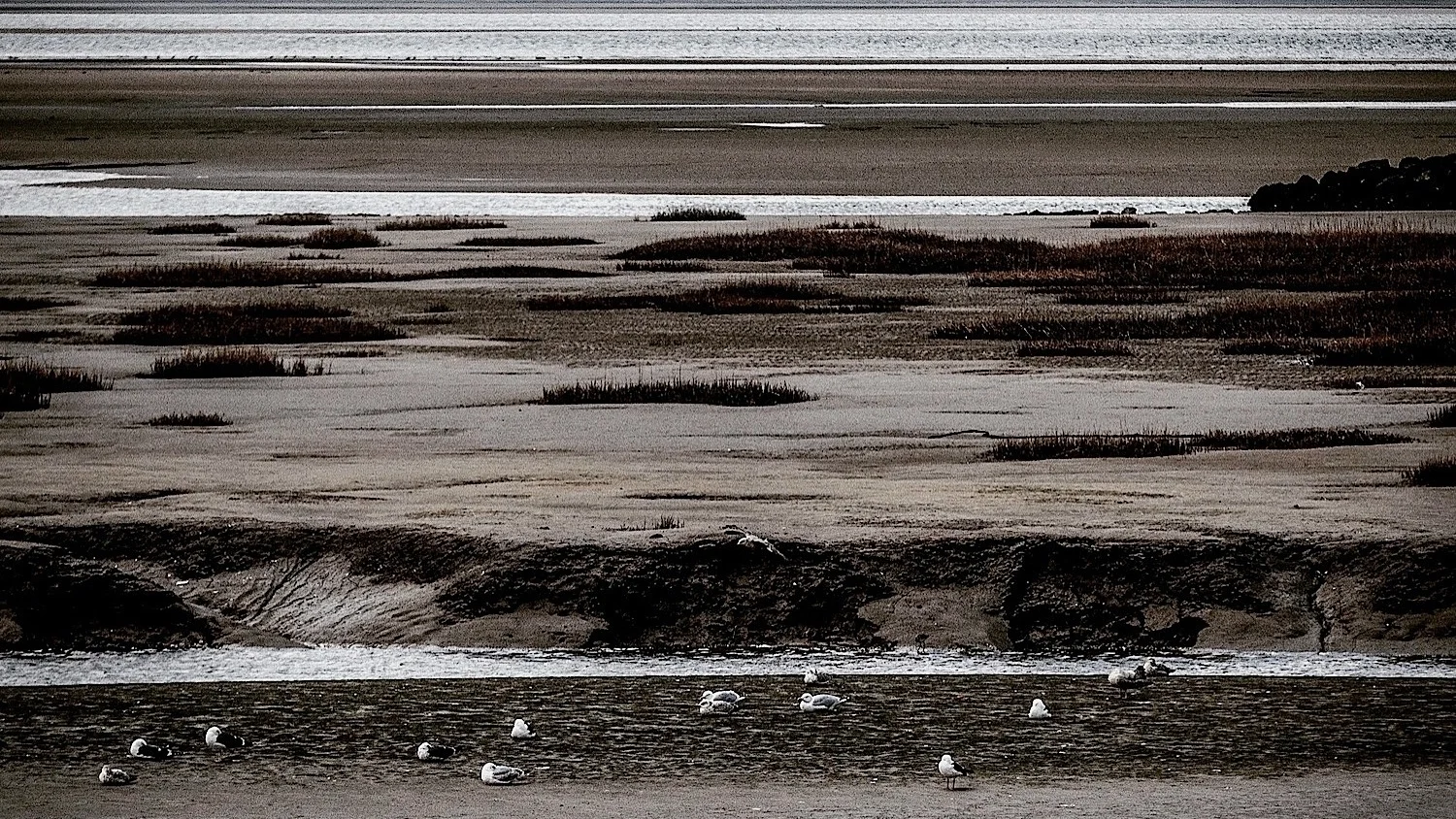 File 03-07-2017, 17 52 16.jpeg