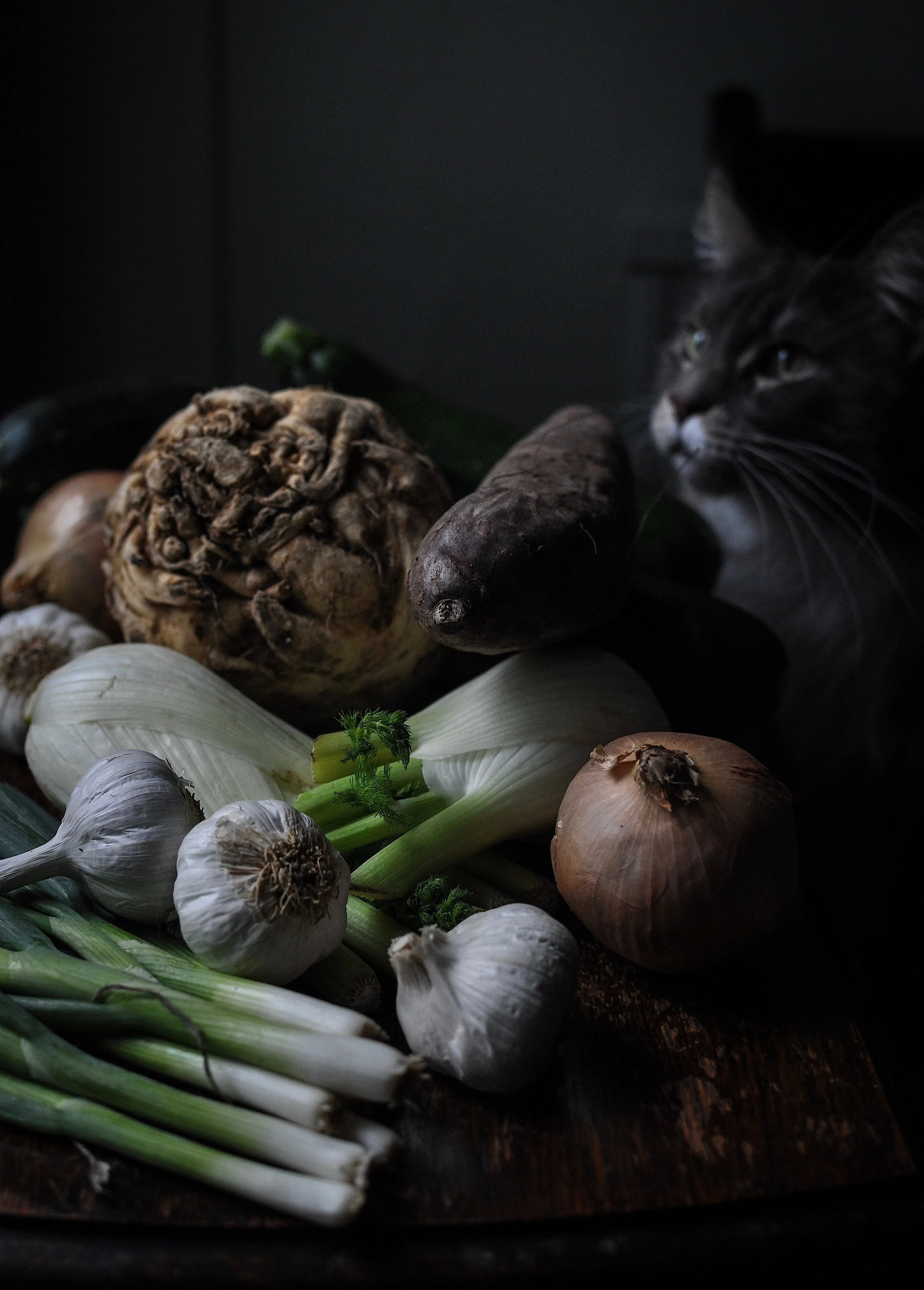 Maine Conn cat Ghost & vegetables.jpeg