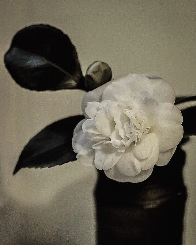 Photo from February 2014