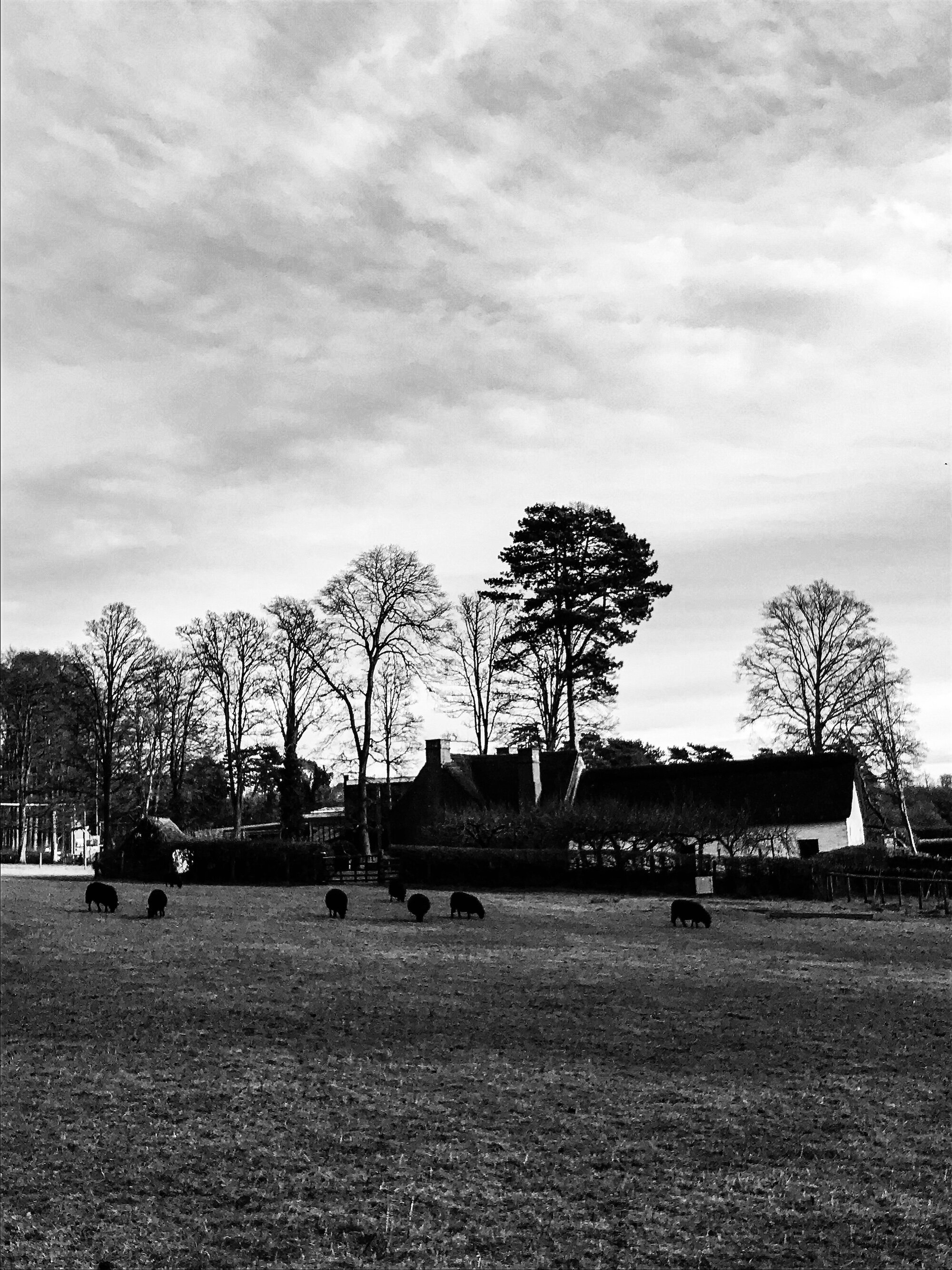 St Fagans National Museum of History