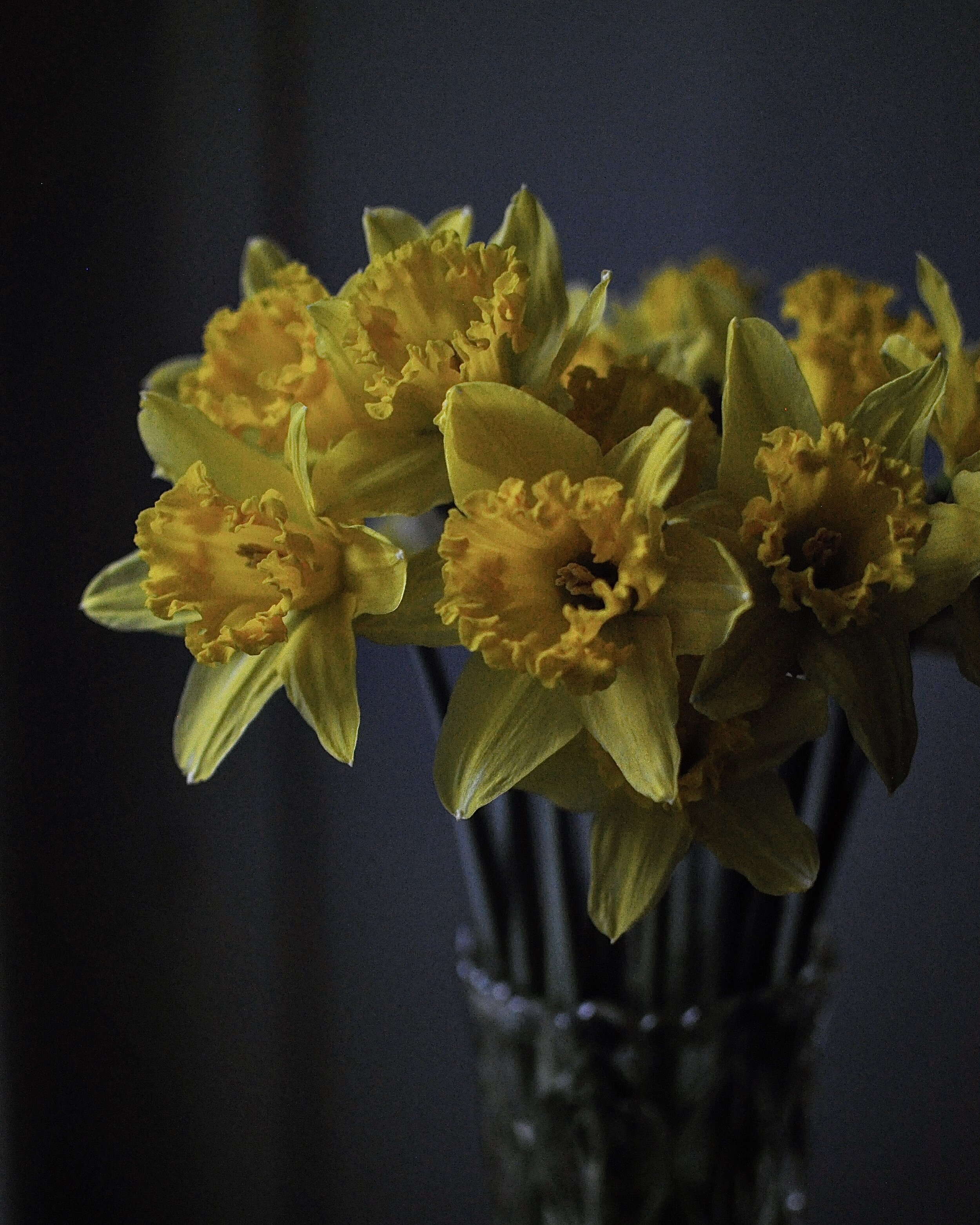 Beginning of Spring