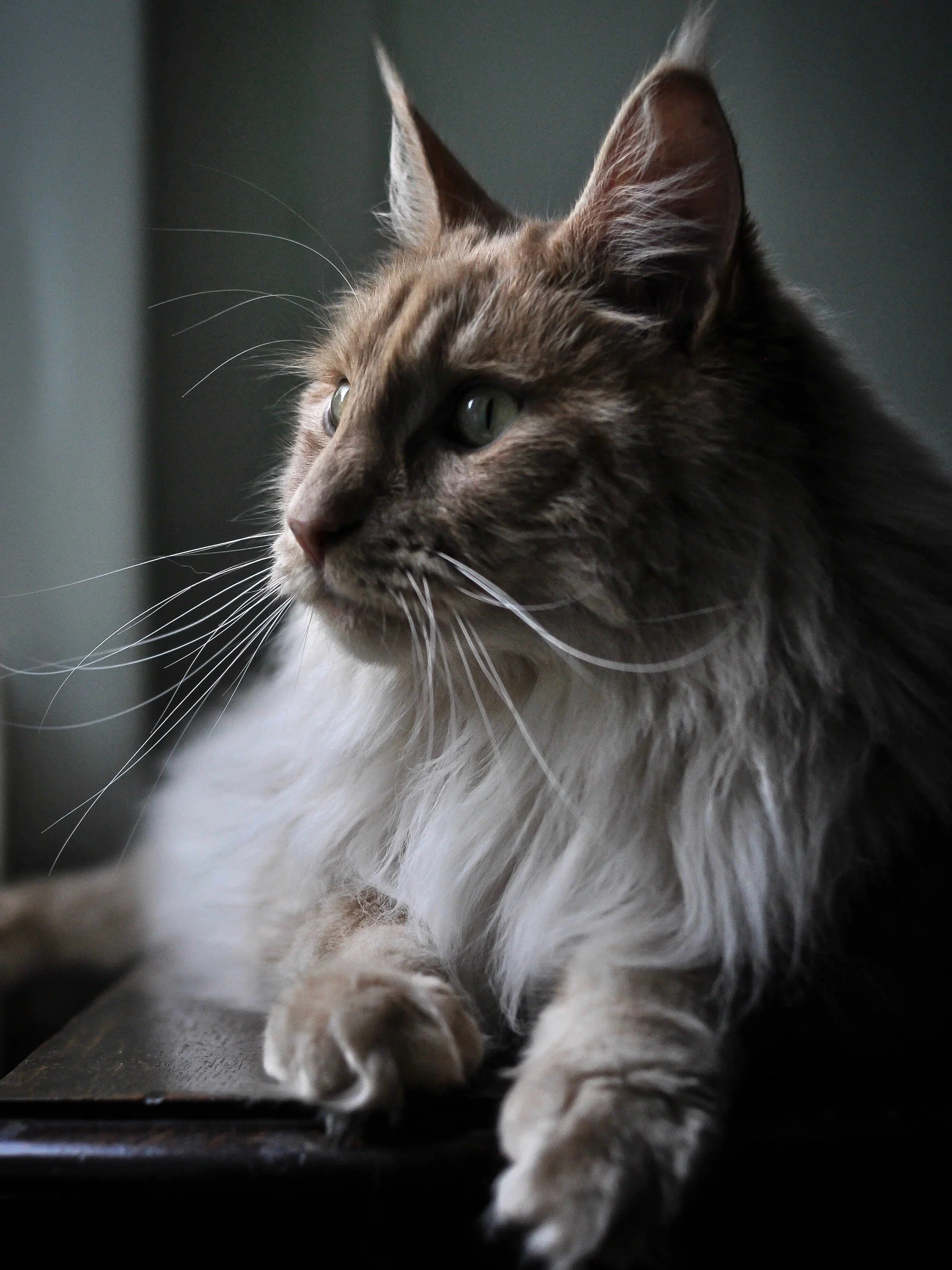 DSC_3222.jpg